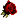 :EM_RedRose: