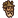 :HeadMushroomer:
