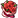 :LITLROSES: