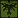 :SwampCamp: