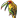 :aod_parrot: