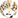 :kiwi_flustered: