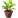 :planty: