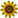 :sun_flower: