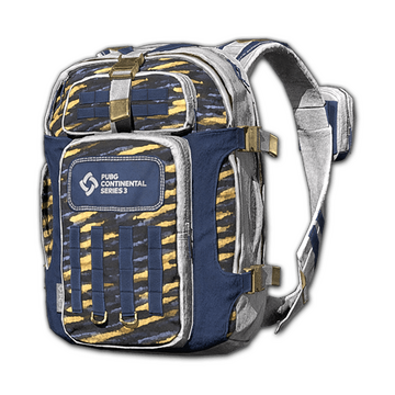 Pubg bag level 3 price on sale