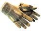 ★ Sport Gloves | Arid (Minimal Wear)