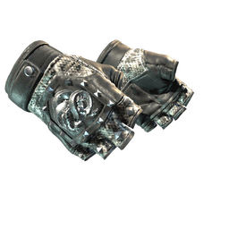 ★ Broken Fang Gloves | Unhinged (Factory New)