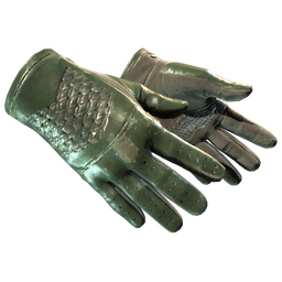 ★ Driver Gloves | Racing Green (Field-Tested)