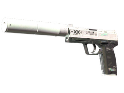 StatTrak™ USP-S | Printstream