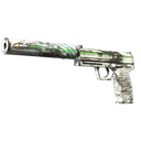 Souvenir USP-S | Road Rash (Factory New)