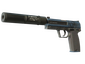 StatTrak™ USP-S | Guardian