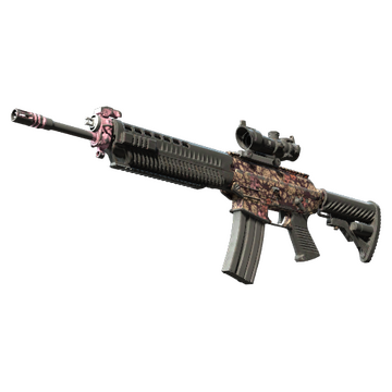 SG 553 | Desert Blossom (Battle-Scarred)