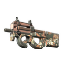 P90 | Tiger Pit (Well-Worn)