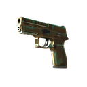 StatTrak™ P250 | Verdigris (Field-Tested)