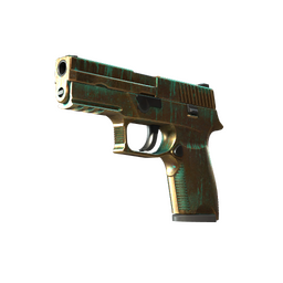 StatTrak™ P250 | Verdigris (Well-Worn)