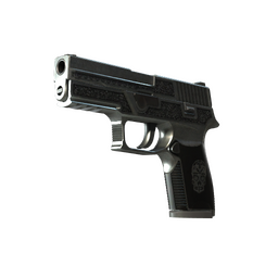 StatTrak™ P250 | Cartel (Well-Worn)