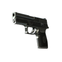 StatTrak™ P250 | Cartel (Battle-Scarred)
