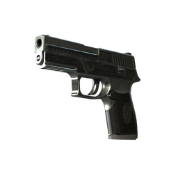 StatTrak™ P250 | Cartel (Battle-Scarred)