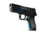 P250