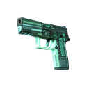 StatTrak™ P250 | X-Ray (Factory New)