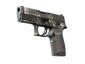 StatTrak™ P250 | Re.built