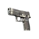 StatTrak™ P250 | Re.built (Factory New)