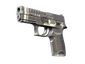 StatTrak™ P250 | Re.built