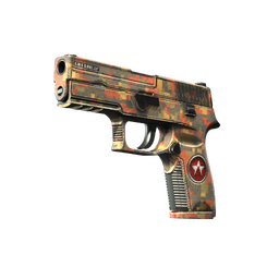 StatTrak™ P250 | Red Rock (Field-Tested)