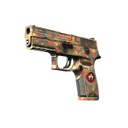 StatTrak™ P250 | Red Rock (Minimal Wear)