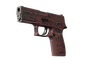 StatTrak™ P250 | Contaminant