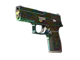P250 | Visions