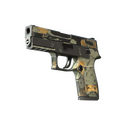 P250 | Modern Hunter (Battle-Scarred)