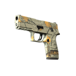 P250 | Modern Hunter (Factory New)