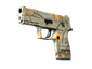 P250 | Modern Hunter