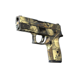 Souvenir P250 | Contamination (Field-Tested)