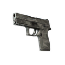 P250 | Facets (Well-Worn)