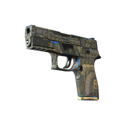 Souvenir P250 | Exchanger (Well-Worn)