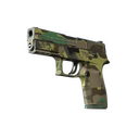 Souvenir P250 | Boreal Forest (Well-Worn)