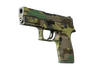 P250