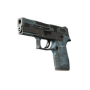 P250 | Forest Night (Battle-Scarred)