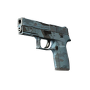P250 | Forest Night (Well-Worn)