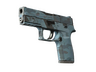 P250