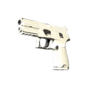 P250 | Whiteout (Well-Worn)