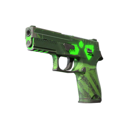 P250 | Nuclear Threat (Well-Worn)