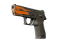 StatTrak™ P250 | Splash