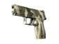 Souvenir P250 | Bone Mask