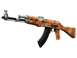 AK-47 | Safety Net