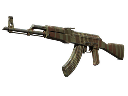 AK-47 | Predator