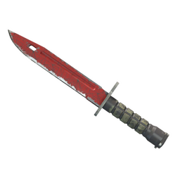 ★ Bayonet | Crimson Web (Well-Worn)