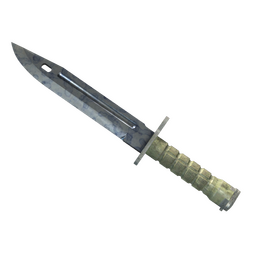 ★ Bayonet | Stained (Minimal Wear)